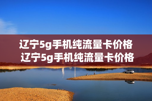 辽宁5g手机纯流量卡价格 辽宁5g手机纯流量卡价格多少