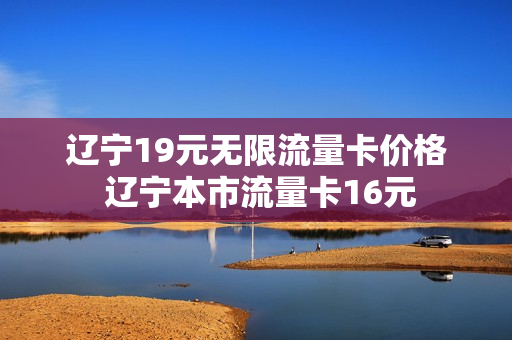辽宁19元无限流量卡价格 辽宁本市流量卡16元