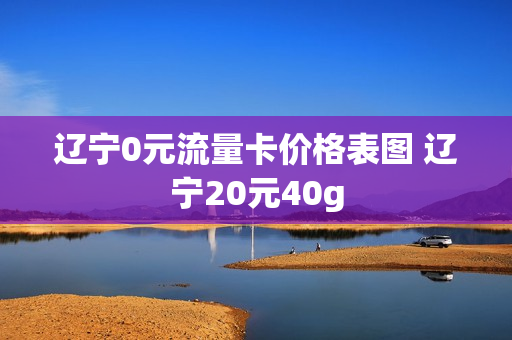 辽宁0元流量卡价格表图 辽宁20元40g