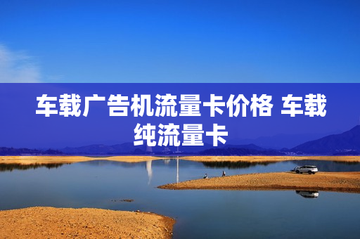 车载广告机流量卡价格 车载纯流量卡