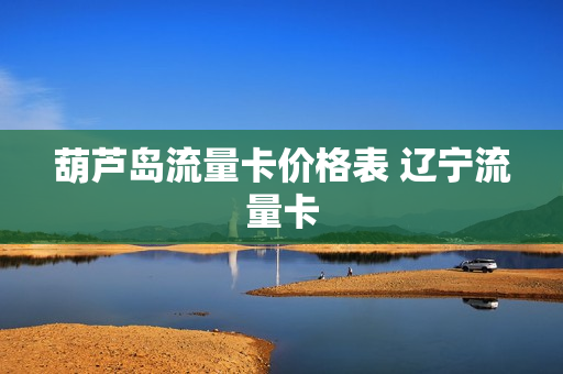 葫芦岛流量卡价格表 辽宁流量卡