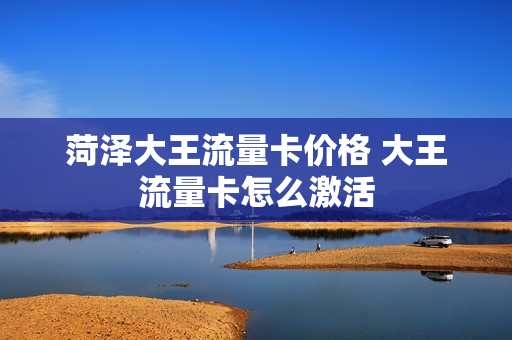 菏泽大王流量卡价格 大王流量卡怎么激活