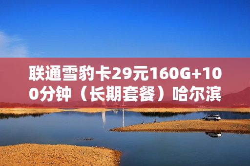 联通雪豹卡29元160G+100分钟（长期套餐）哈尔滨选号
