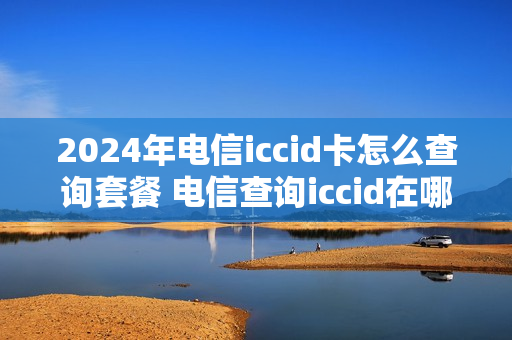 2024年电信iccid卡怎么查询套餐 电信查询iccid在哪里看