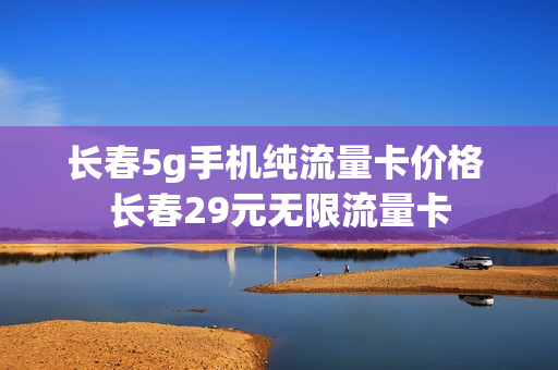 长春5g手机纯流量卡价格 长春29元无限流量卡