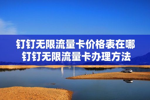 钉钉无限流量卡价格表在哪 钉钉无限流量卡办理方法
