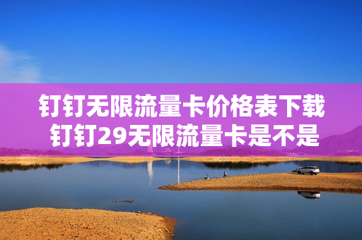 钉钉无限流量卡价格表下载 钉钉29无限流量卡是不是永久套餐
