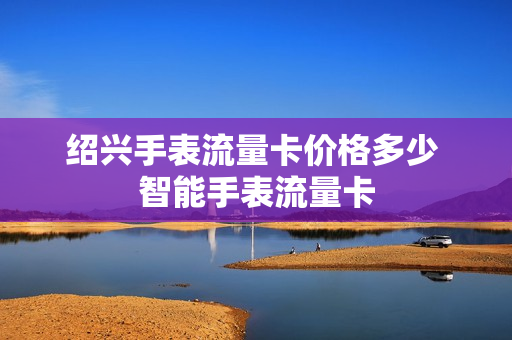 绍兴手表流量卡价格多少 智能手表流量卡