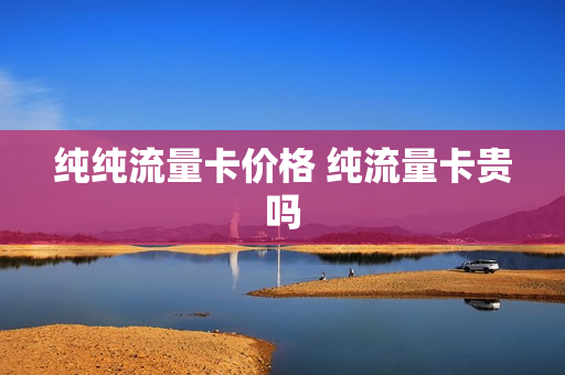纯纯流量卡价格 纯流量卡贵吗