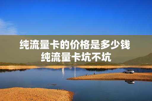 纯流量卡的价格是多少钱 纯流量卡坑不坑