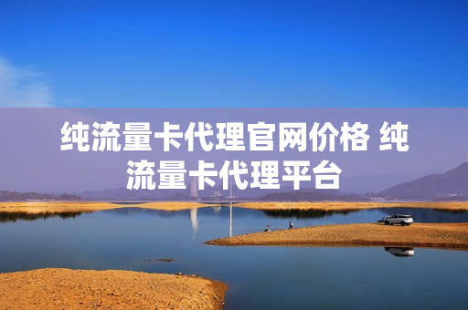 纯流量卡代理官网价格 纯流量卡代理平台