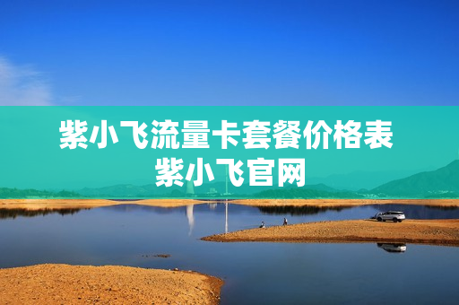 紫小飞流量卡套餐价格表 紫小飞官网