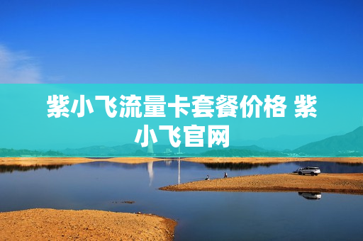 紫小飞流量卡套餐价格 紫小飞官网