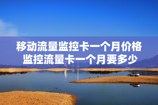 移动流量监控卡一个月价格 监控流量卡一个月要多少钱