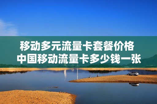 移动多元流量卡套餐价格 中国移动流量卡多少钱一张