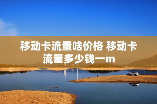 移动卡流量啥价格 移动卡流量多少钱一m