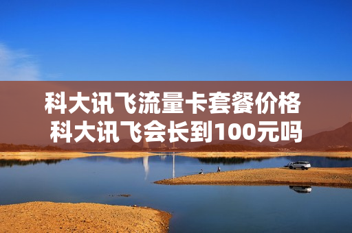 科大讯飞流量卡套餐价格 科大讯飞会长到100元吗