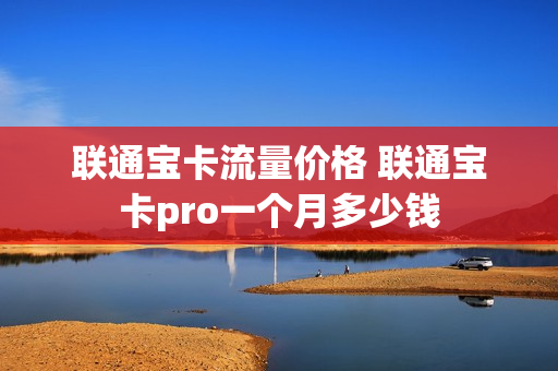 联通宝卡流量价格 联通宝卡pro一个月多少钱