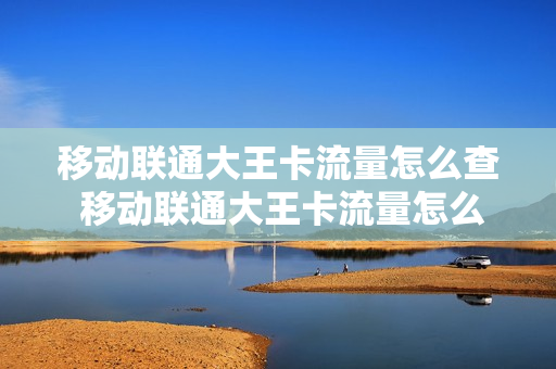 移动联通大王卡流量怎么查 移动联通大王卡流量怎么查询