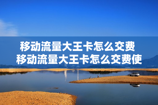 移动流量大王卡怎么交费 移动流量大王卡怎么交费使用