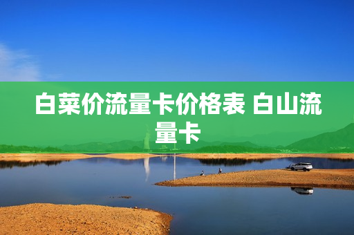白菜价流量卡价格表 白山流量卡
