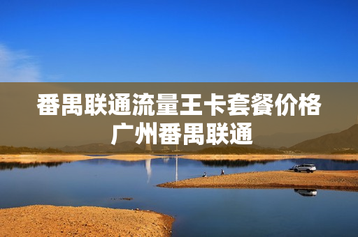 番禺联通流量王卡套餐价格 广州番禺联通