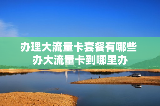 办理大流量卡套餐有哪些 办大流量卡到哪里办