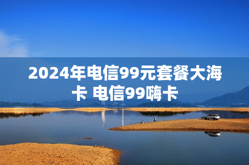 2024年电信99元套餐大海卡 电信99嗨卡