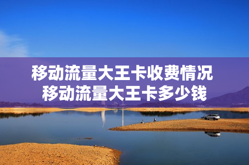 移动流量大王卡收费情况 移动流量大王卡多少钱