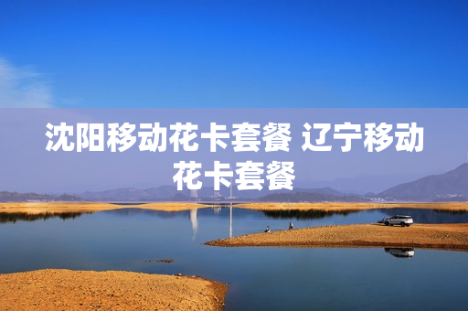 沈阳移动花卡套餐 辽宁移动花卡套餐