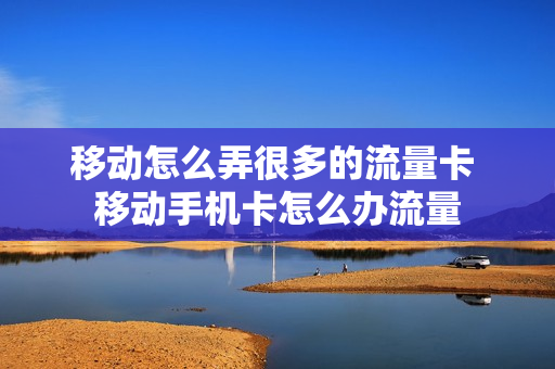 移动怎么弄很多的流量卡 移动手机卡怎么办流量