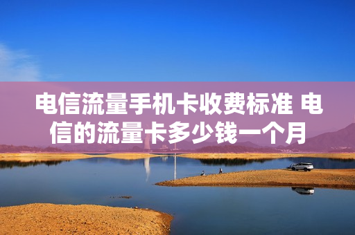 电信流量手机卡收费标准 电信的流量卡多少钱一个月