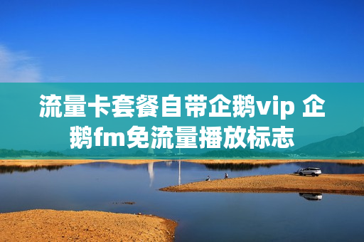 流量卡套餐自带企鹅vip 企鹅fm免流量播放标志