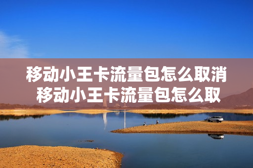 移动小王卡流量包怎么取消 移动小王卡流量包怎么取消订单