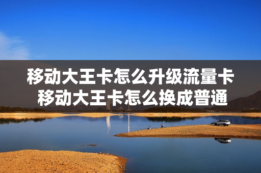 移动大王卡怎么升级流量卡 移动大王卡怎么换成普通卡