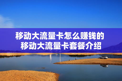 移动大流量卡怎么赚钱的 移动大流量卡套餐介绍