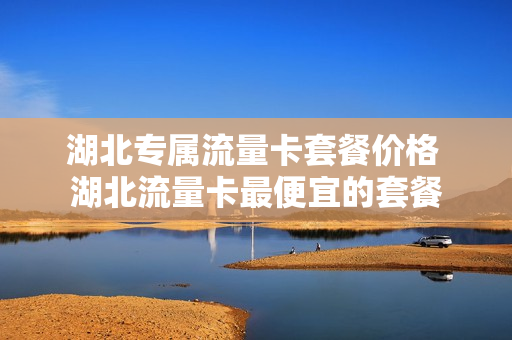 湖北专属流量卡套餐价格 湖北流量卡最便宜的套餐