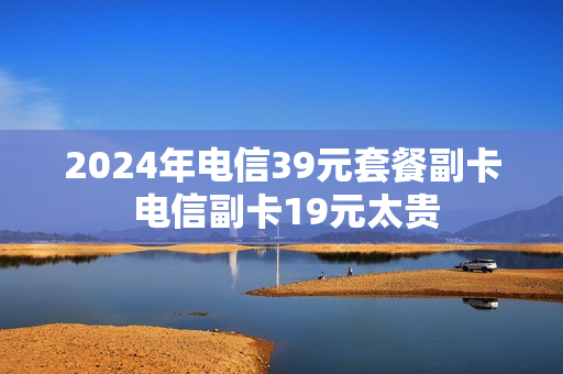 2024年电信39元套餐副卡 电信副卡19元太贵
