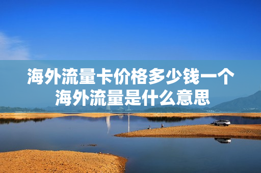 海外流量卡价格多少钱一个 海外流量是什么意思