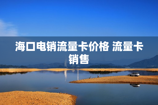 海口电销流量卡价格 流量卡销售
