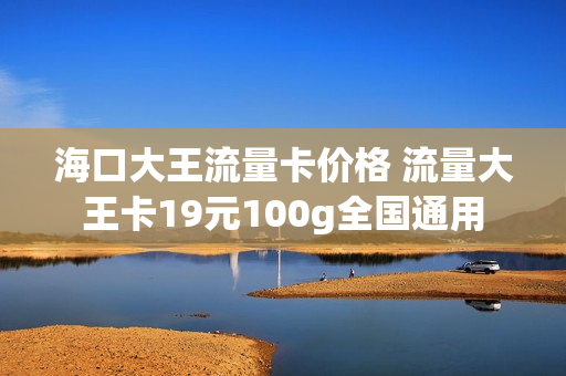 海口大王流量卡价格 流量大王卡19元100g全国通用