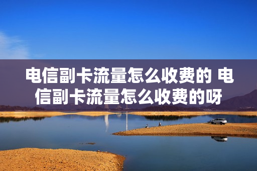 电信副卡流量怎么收费的 电信副卡流量怎么收费的呀