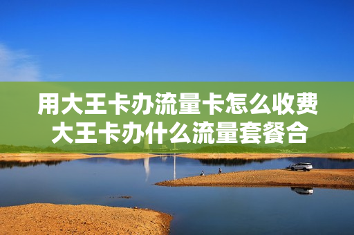 用大王卡办流量卡怎么收费 大王卡办什么流量套餐合适
