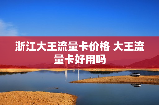 浙江大王流量卡价格 大王流量卡好用吗