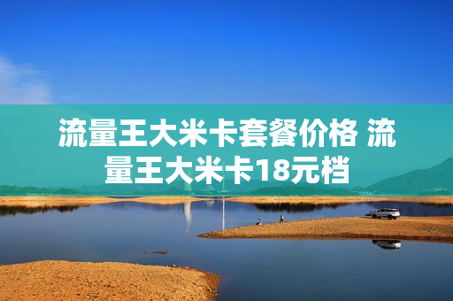 流量王大米卡套餐价格 流量王大米卡18元档