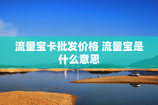 流量宝卡批发价格 流量宝是什么意思