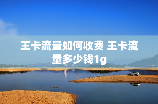 王卡流量如何收费 王卡流量多少钱1g