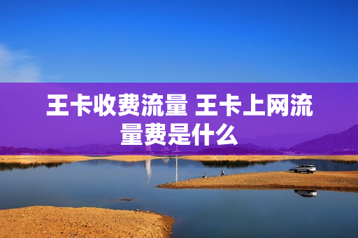 王卡收费流量 王卡上网流量费是什么
