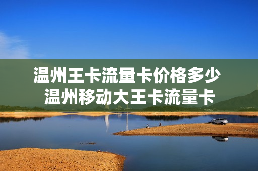 温州王卡流量卡价格多少 温州移动大王卡流量卡