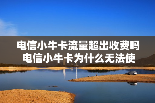 电信小牛卡流量超出收费吗 电信小牛卡为什么无法使用了